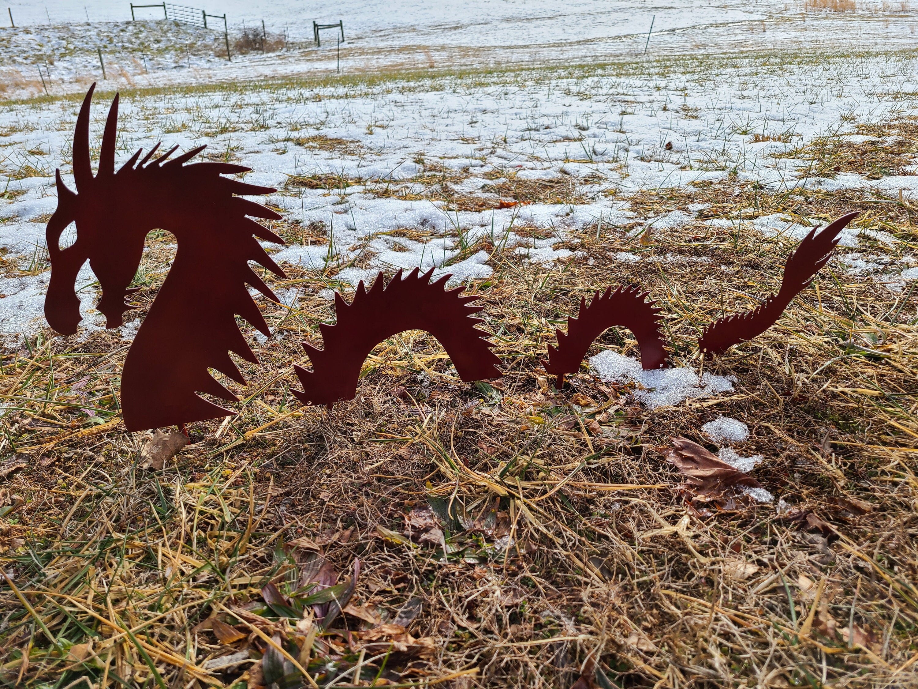 Red Dragon Metal Yard Art Garden Stake 4 Piece Set Garden Art Powder Coated Outdoor Display