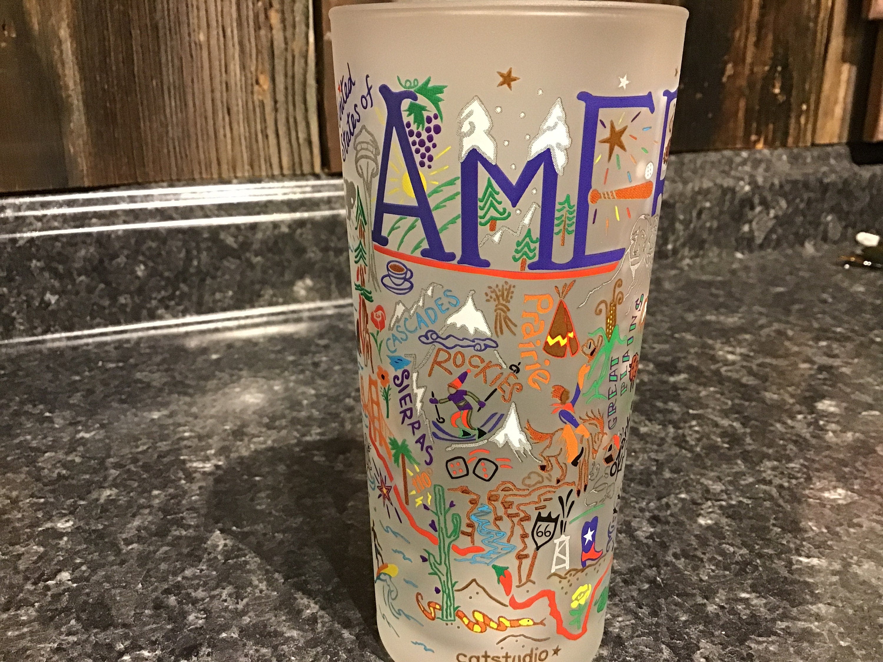 Frosted America Drinking Glass Catstudio USA Glass US Maps Collectibles