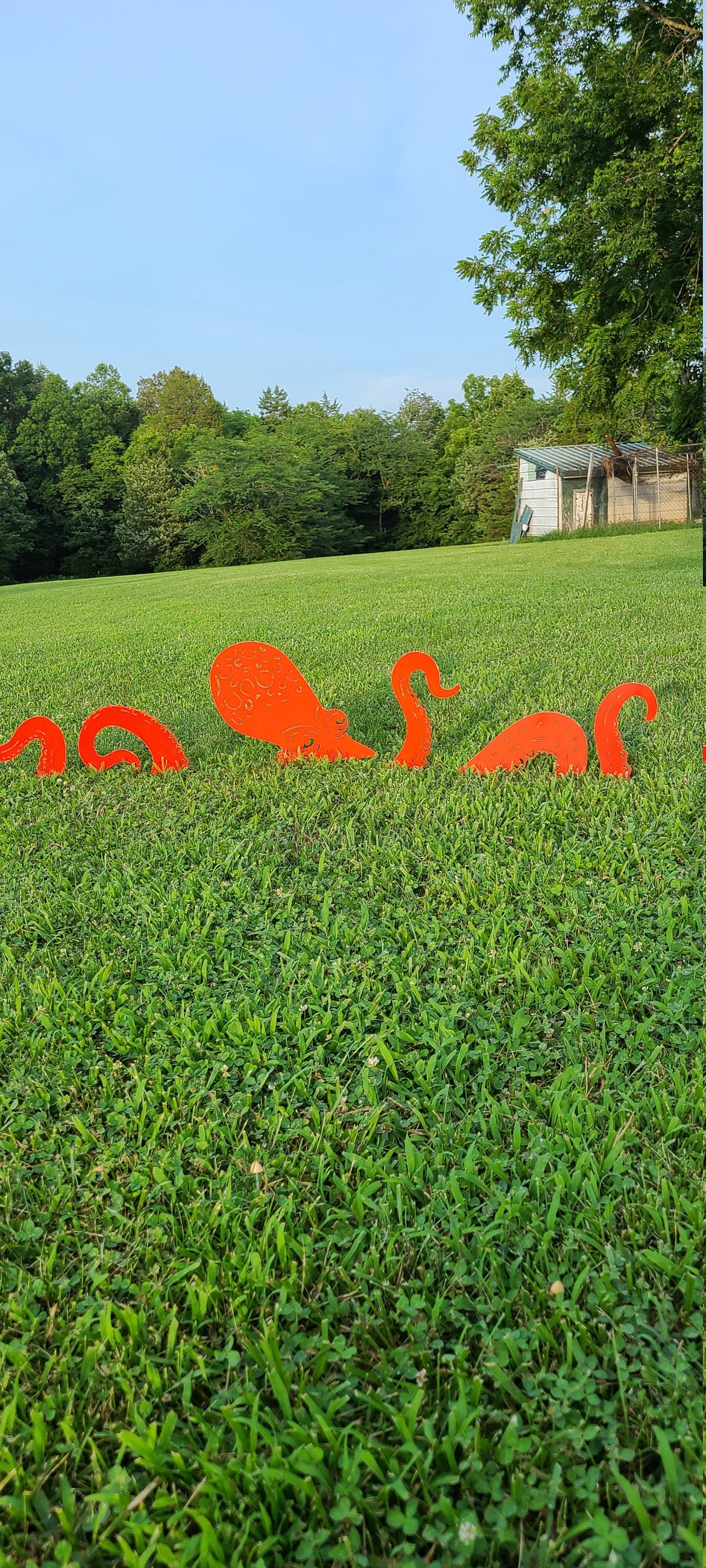 Giant Octopus Garden Stake Yard Art 6 Piece Set Octopus Garden