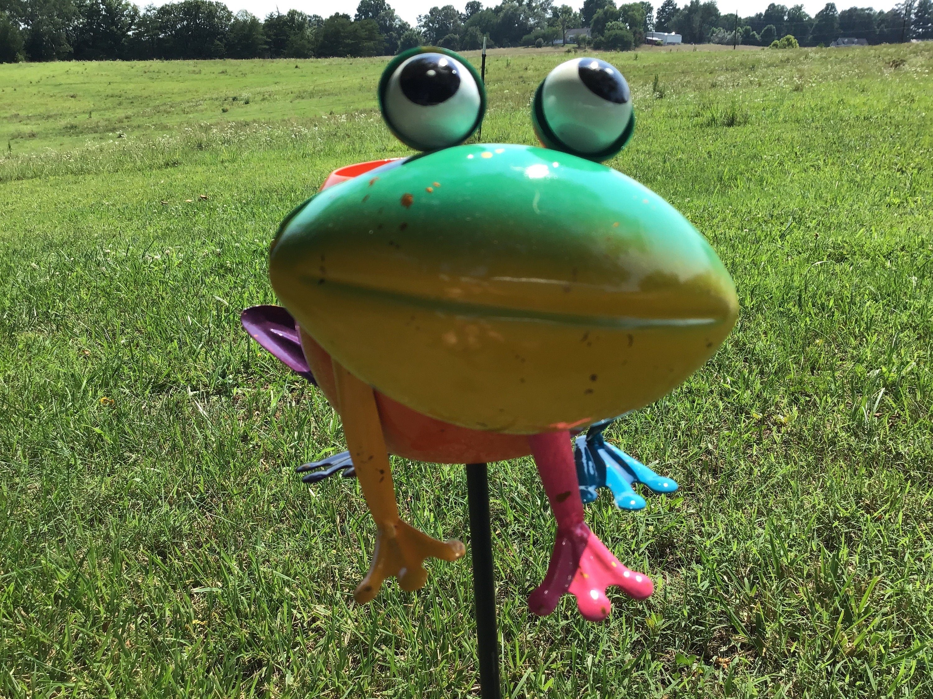 Porch Decor Idea Frog Planter Succulents Small Planters College Dorms Small Apartment Planter Animal Shape Planters