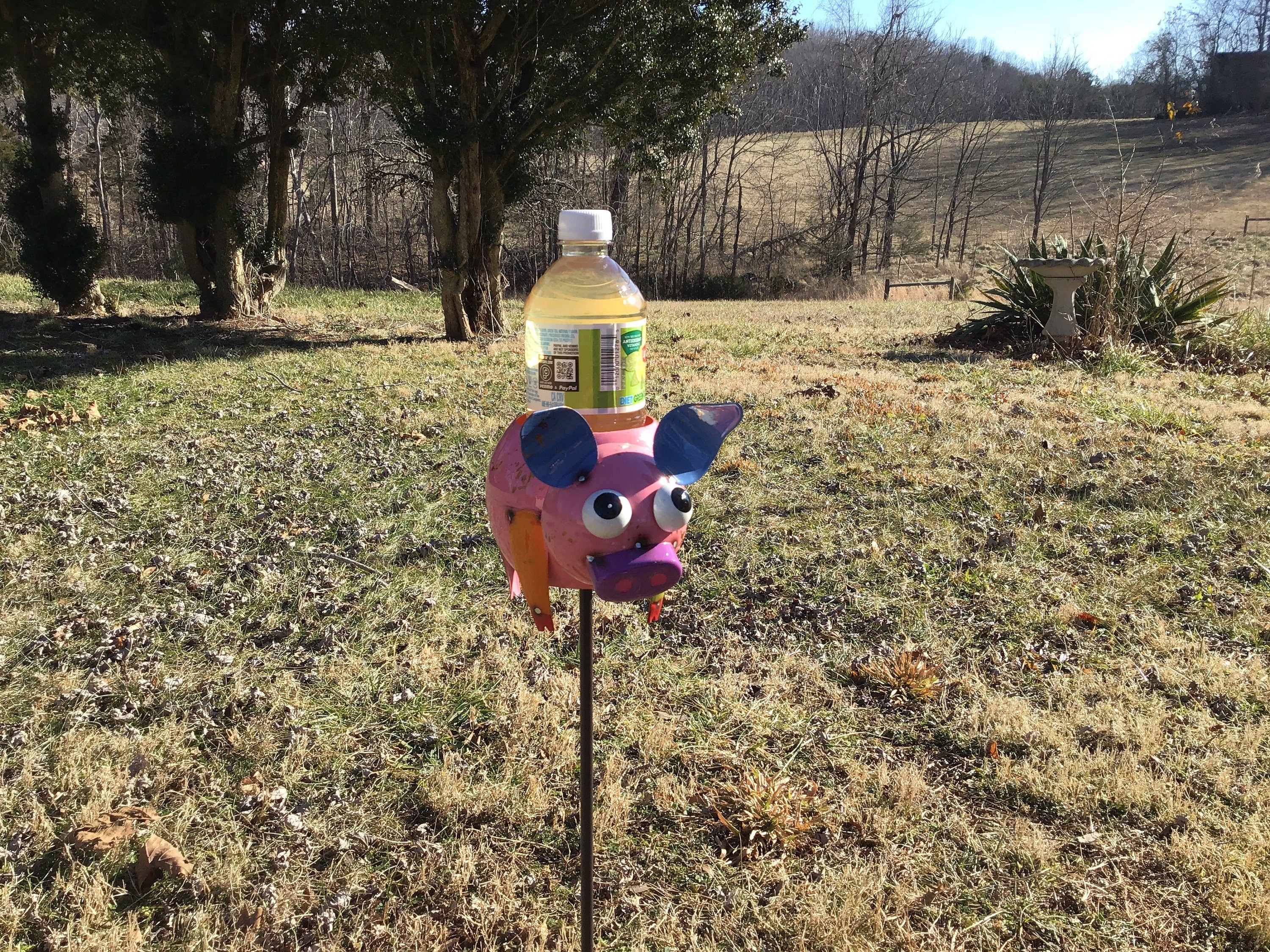 Pig Planter Garden Stake Pig Garden Decor Yard Art Small Planter Lawn Ornament Drink Holder