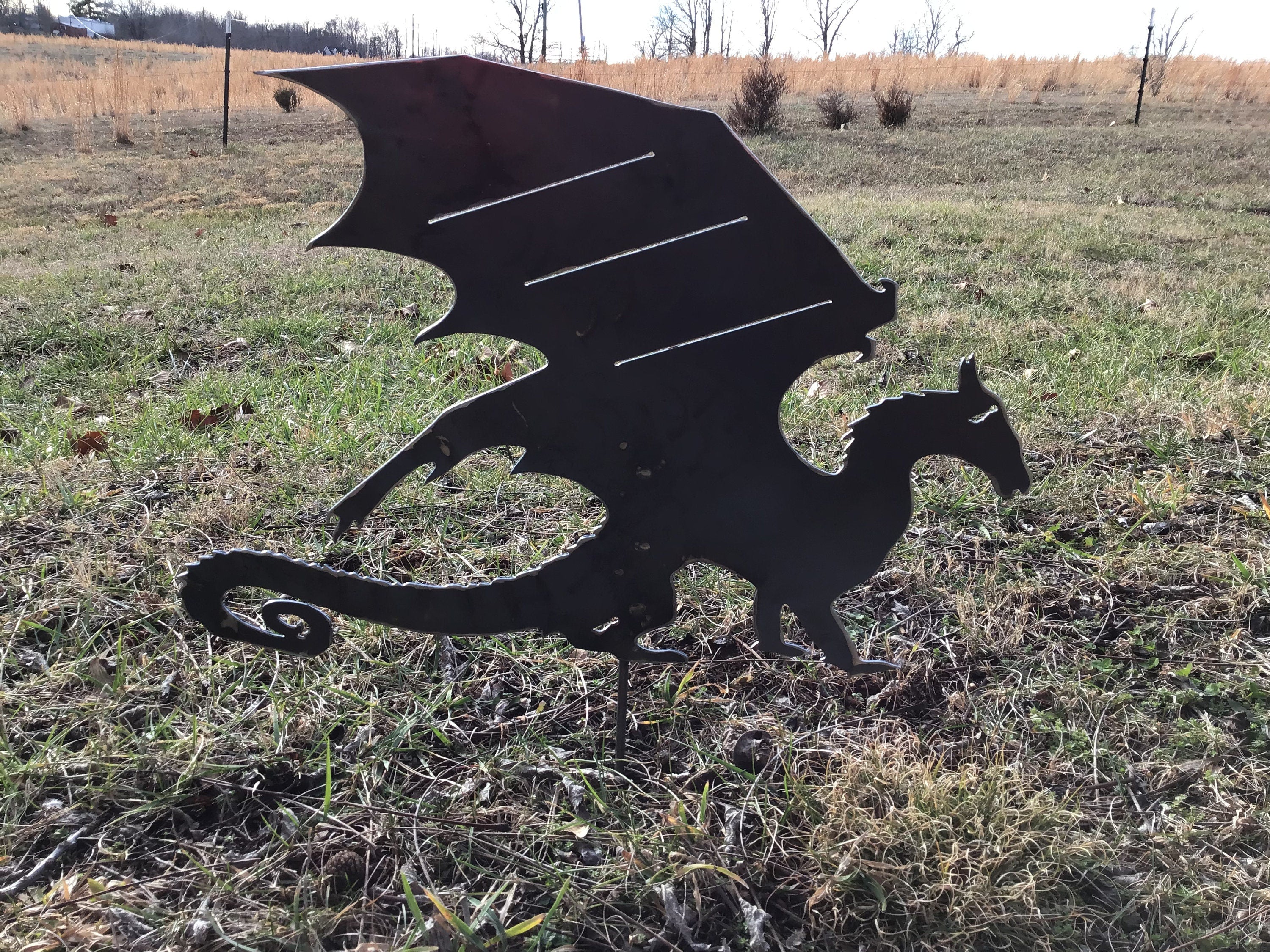 Banshee Garden Stake Avatar Metal Art Yard Art Avatar Garden Art Flying Dragon