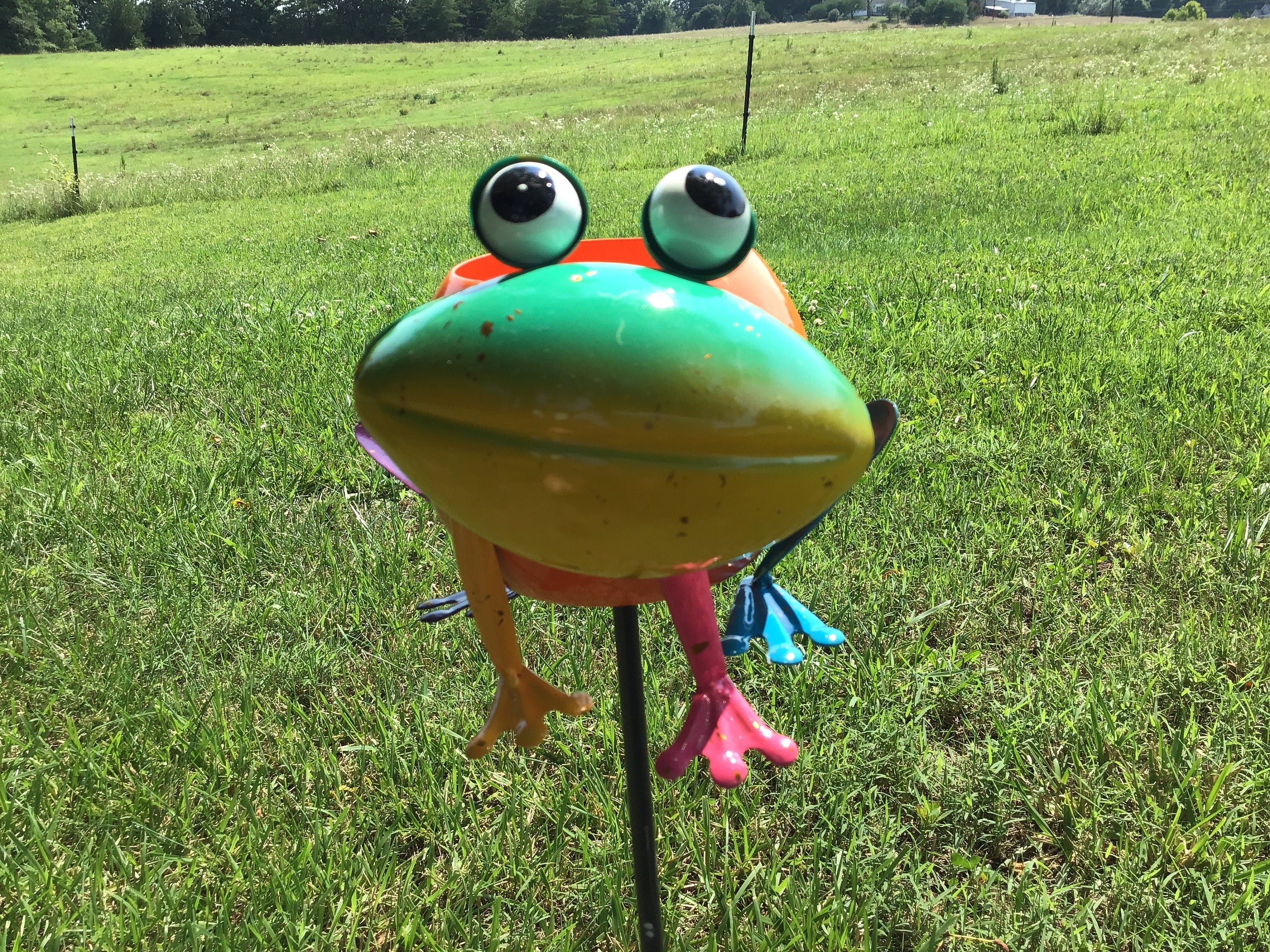 Porch Decor Idea Frog Planter Succulents Small Planters College Dorms Small Apartment Planter Animal Shape Planters