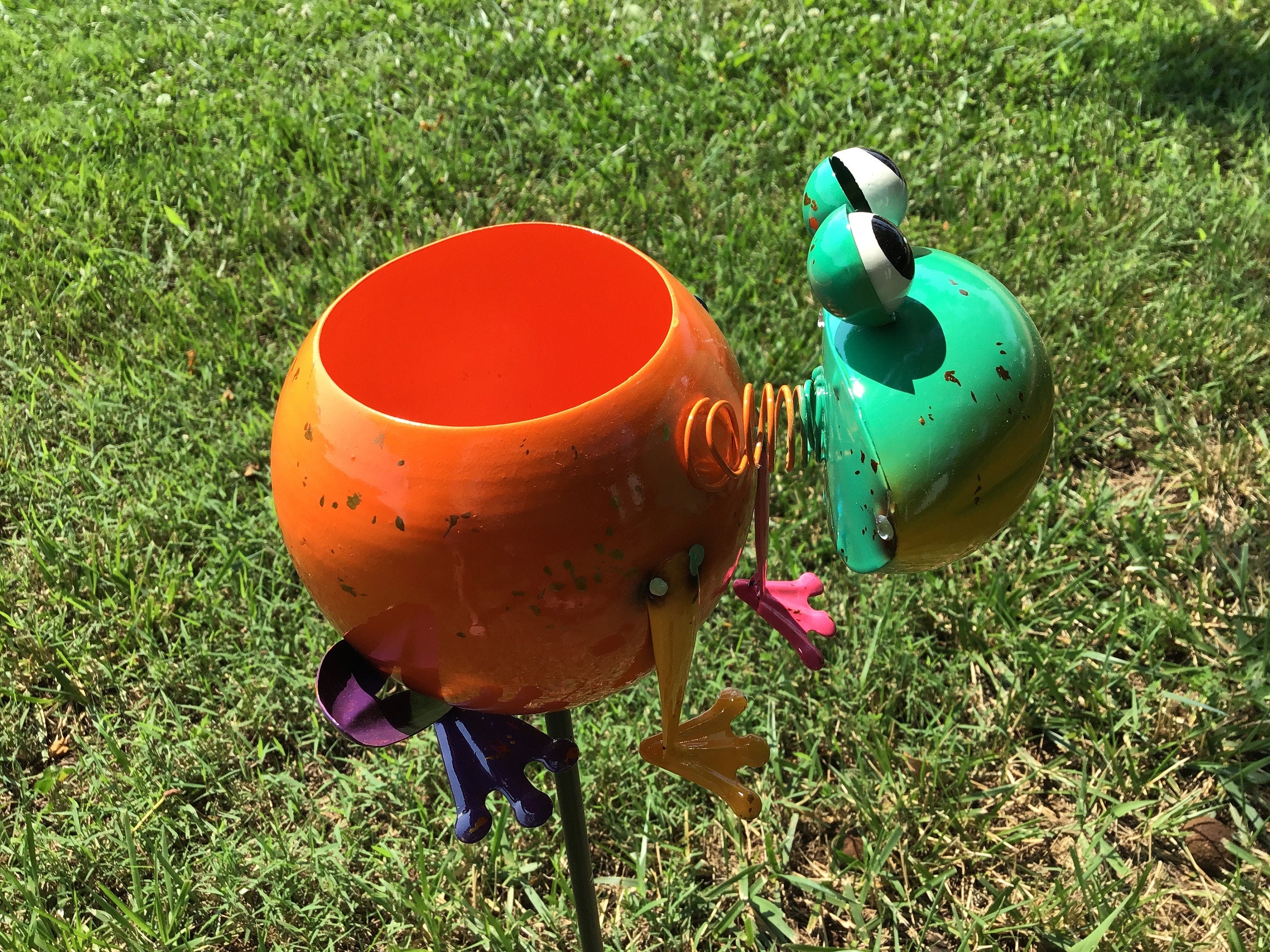 Porch Decor Idea Frog Planter Succulents Small Planters College Dorms Small Apartment Planter Animal Shape Planters