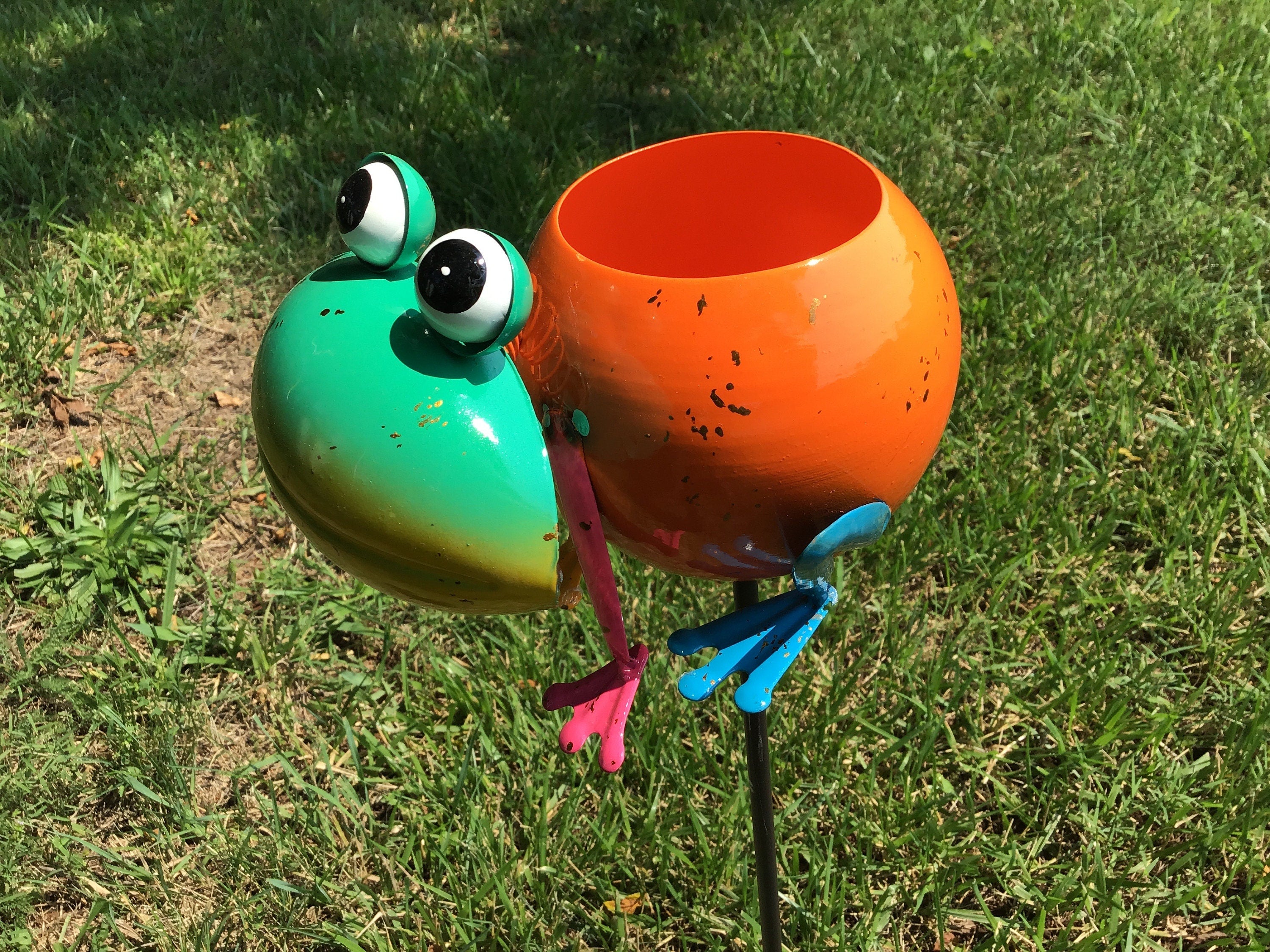 Porch Decor Idea Frog Planter Succulents Small Planters College Dorms Small Apartment Planter Animal Shape Planters