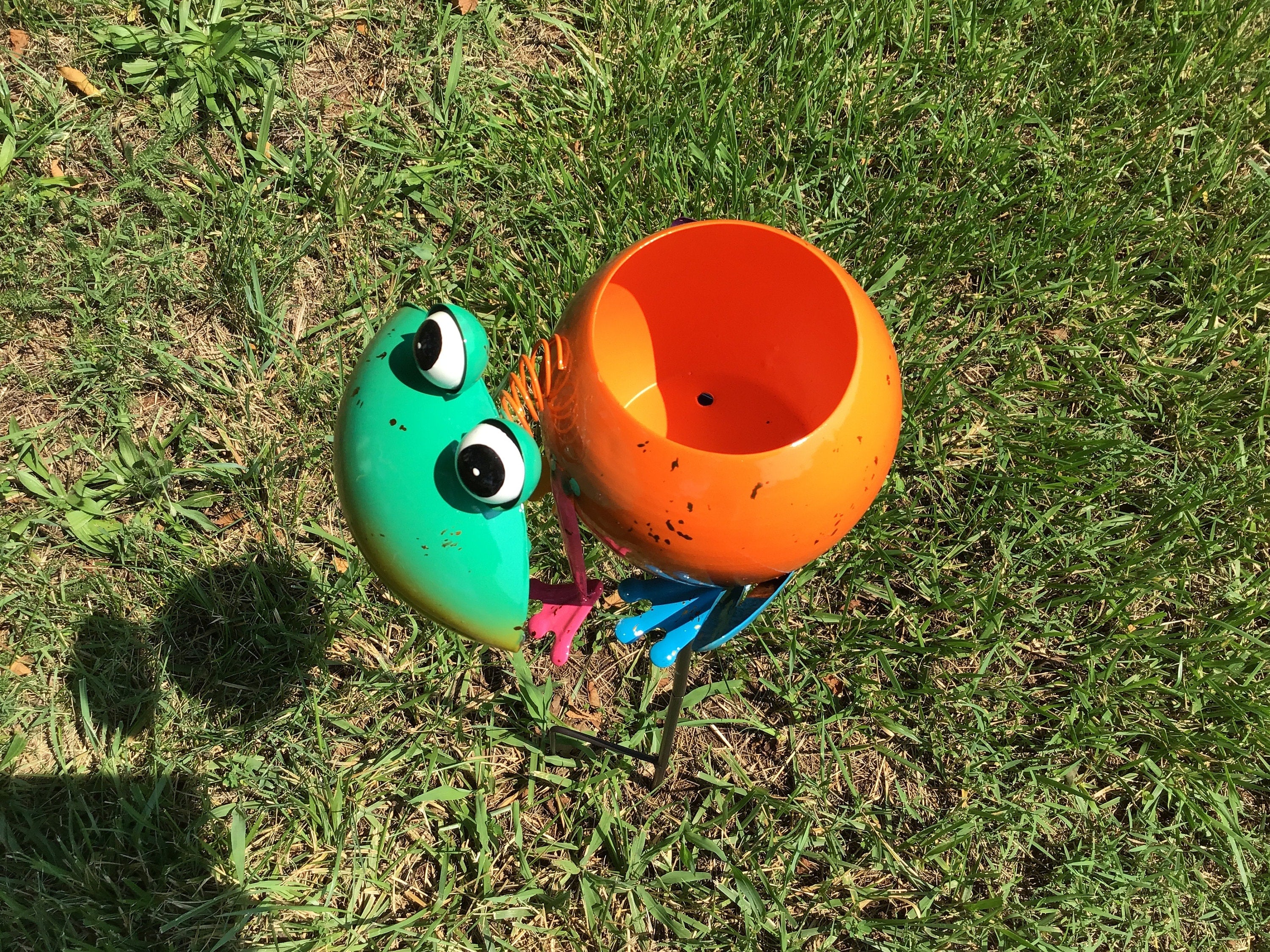 Porch Decor Idea Frog Planter Succulents Small Planters College Dorms Small Apartment Planter Animal Shape Planters